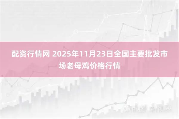 配资行情网 2025年11月23日全国主要批发市场老母鸡价格行情