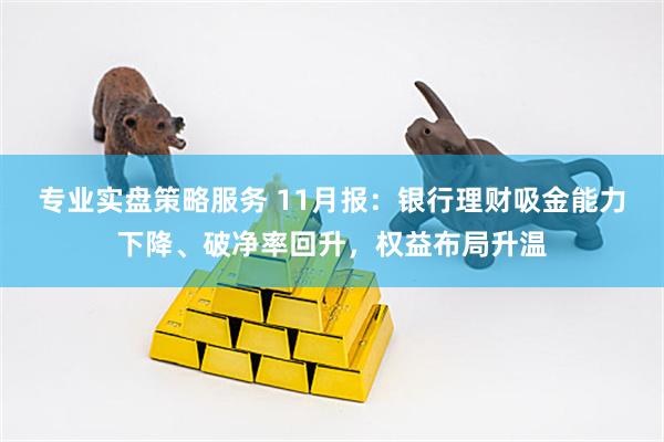 专业实盘策略服务 11月报：银行理财吸金能力下降、破净率回升，权益布局升温